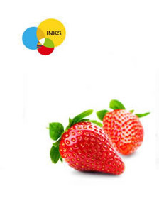 ECHO快固亮光不结皮油墨